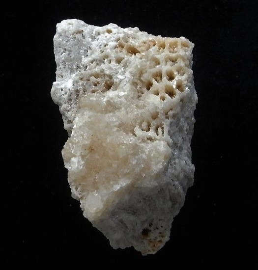 CALCITE PSM CORAL - NEW DISCOVERY