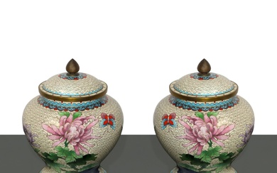 Coppia di poutiche cinesi cloisonne con raffigurazioni floreali, 20° secolo
