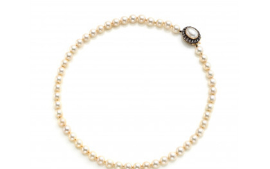 Cultured pearl necklace of mm 7.50/7.80 circa with a silver and gold mother-of-pearl and rose cut diamond clasp, g 40.01...