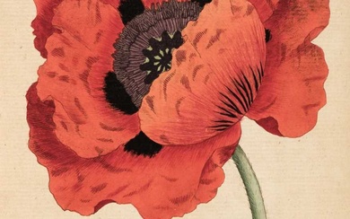 Curtis (W.). The Botanical Magazine or Flower-Garden Displayed..., 1787