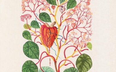 DALI. Flora Dalinae. 1968. 1/75 exemplaires sur Japon. Suite de 10 gravures au pochoir.