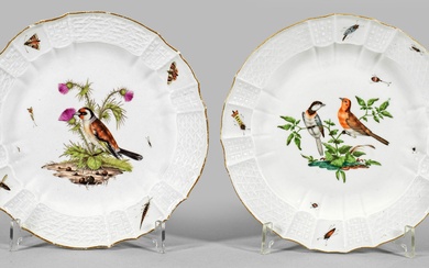 Deux assiettes à décor d'"oiseaux de la forêt" Forme ronde avec miroir légèrement en creux...