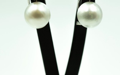 Earrings - 18 kt. White gold Diamond (Natural) - Pearl