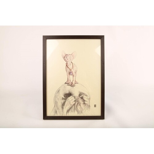 Framed hariless cat on top of lady's back (49cm tall x 39cm ...
