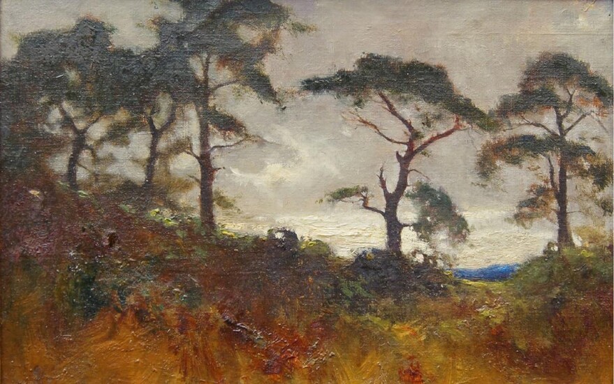 French School, early 20th century- Scots Pine; oil on canvas laid down on board, 18.5 x 29 cm