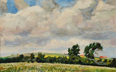 Fritz Syberg: Summer landscape with flowering fields and meadows. Signed with monogram. Oil on canvas. 67×96 cm.