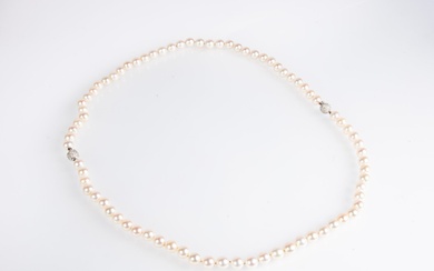 Gold and bright pearl necklace