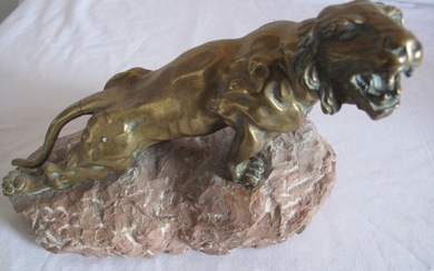 L. Hestaux (1858-1919)- Sculpture, injured lioness on a rock (1) - Bronze - Early 20th century