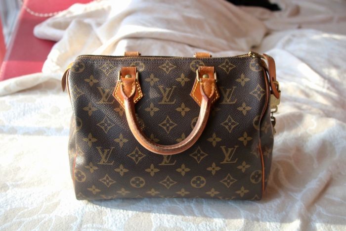 Louis Vuitton - Monogram Speedy 25 Handbag