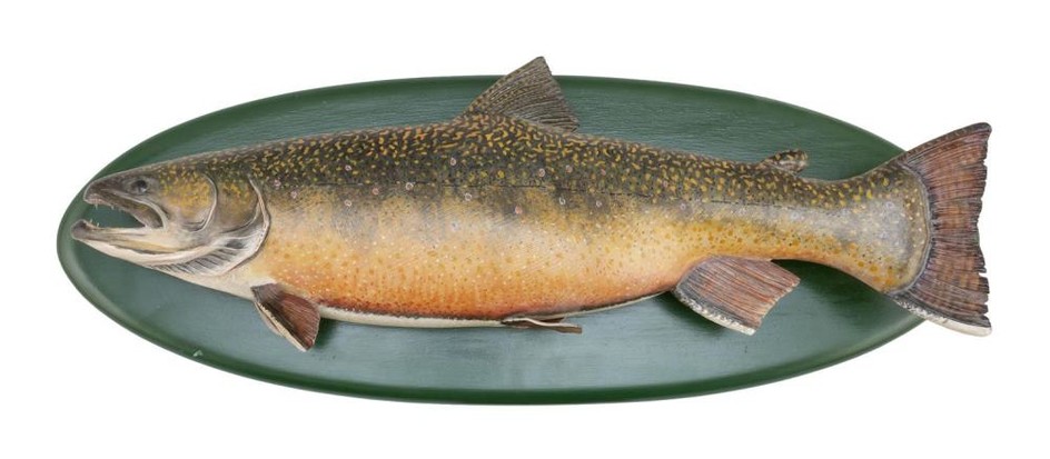 MIKE BORRETT CARVED AND PAINTED WOODEN BROOK TROUT Mounted on a green-painted oval backboard. Signed and dated on reverse "Mike Borr...