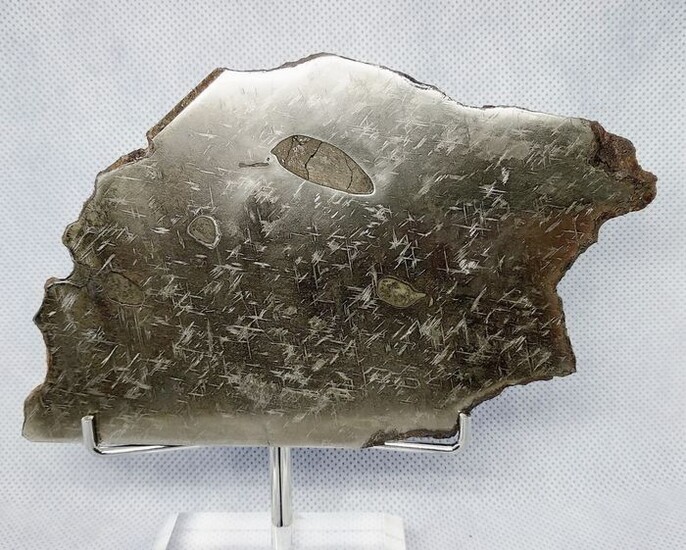 Meteorite "CUP" (NWA 859). Plesitic octahedrite. XL slice. MUSEUM. - 141 g
