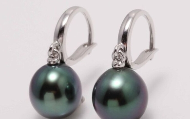 NO RESERVE PRICE - 10x11mm Tahitian Pearl Drops - 14 kt. White gold - Earrings