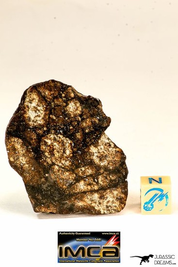 NWA 12893 L6-S3-W2 Melt Breccia Chondrite Exclusive More than Half Part of The Main Mass - 37.47 g