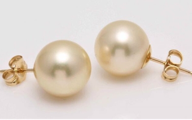 No Reserve Price - 18 kt. Yellow Gold- 11x12mm Champagne Golden South Sea Pearls - Earrings