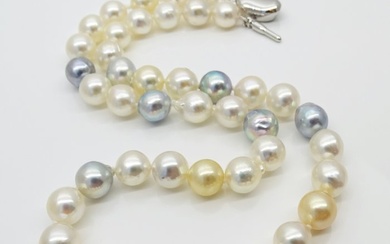 No Reserve Price - Akoya Pearls, Natural Candy Colors, 8.5 -9 mm Silver - Necklace