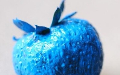 Olivier DEGORCE "INTENTIONAL STILL LIFE (fraise bleue)" 2009 Tirage argentique, 30 x 45 cm 7/21...