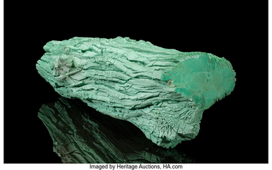 Petrified Conifer Log Araucarioxylon arizonicum Triassic Chinle Formation, Painted...