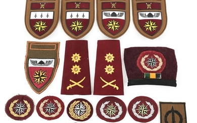 SOUTH AFRICAN RECCE SPECIAL FORCES INSIGNIA LOT