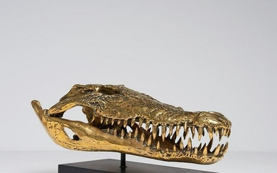 Saltwater Crocodile Skull in Polished Bronze