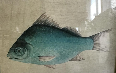 Signed Chinese Watercolor Fish