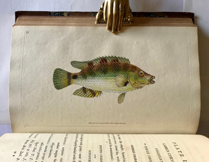 The Natural History of British Fishes, including scientific and general descriptions of the most interesting species, and an extensive selection of accurately finished coloured plates. Taken entirely from original drawings, purposely made from the...