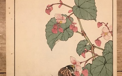 Twee Japanse rietgorzen aan de waterkant onder een bloeiende begonia - 1891 - Imao Keinen (1845-1924) - Japan - Meiji period (1868-1912)