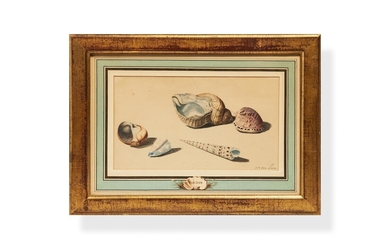 Willem van Leen, (Dutch 1753 - 1825), Sea Shells