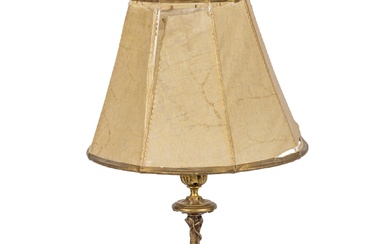 19th Bronze table lamp with lizard