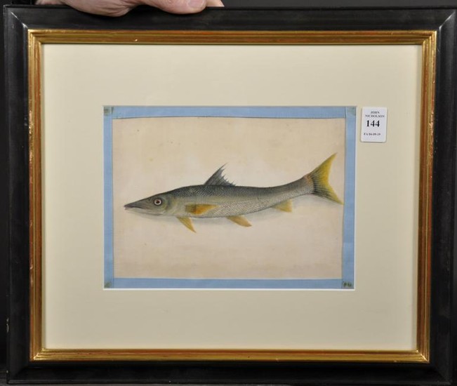 19th Century Chinese School. A Fish, Mixed Media on