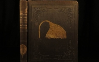 1842 1ed Geology of New York Lardner Vanuxem Natural