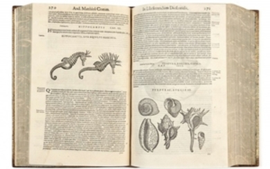 Pierandrea MATTIOLI 1500-1577 Commentarii in VI libros Pedacii Dioscoridis Anarzabei de medica materia