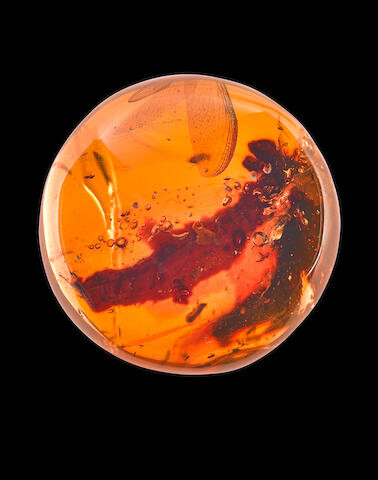 Amber cabochon with Insect Inclusions with a Wing