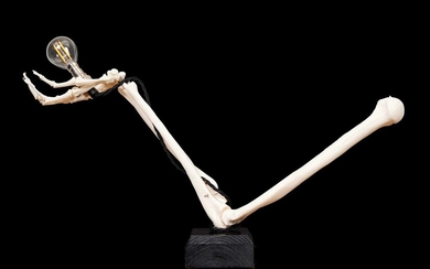 A MEDICAL MODEL OF HUMAN ARM BONE MOUNTED AS A LAMP BASE