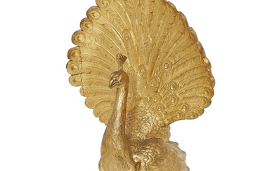 A TUSCAN PEACOCK, LATE 18TH CENTURY