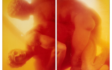 ANDRES SERRANO (B. 1950) Hercules punishing Diomedes (part I an...