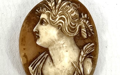 Camée sur coquillage figurant un profil de femme à l'antique. H. : 4 cm.