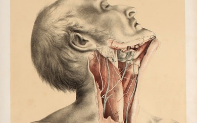 Ellis, George Viner, Illustrations of Dissections, 1867