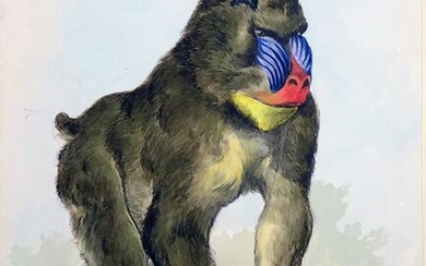 Fleischmann Original Watercolor - Ape