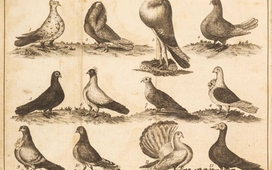 Girton (Daniel). The Complete Pigeon-Fancier, circa 1790