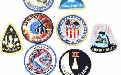 LOT OF 10 NASA ASTRONAUT SPACE SUIT PATCHES