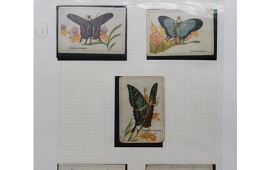 MIXED WORLD. BUTTERFLY CIGARETTE CARDS. British American To...