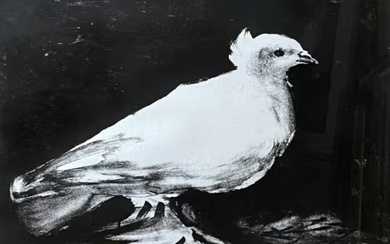 Pablo PICASSO (1881-1973) d’après – La colombe, 1949 (Bloch 583, Mourlot 141) -…