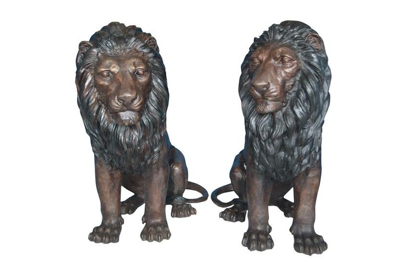 Pair of life size lion bronze statues - Size: 55"L x