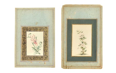 TWO ALBUM PAGE STUDIES OF ROSE BUSHES Qajar Iran, dated 1254 AH (1838 AD) and 1281 AH (1864 AD), signed Lotf 'Ali