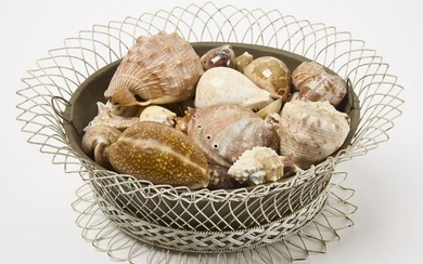 Vctorian Wire Basket with Sea Shells