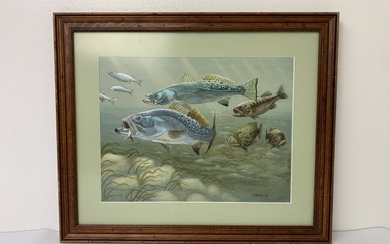 Watercolor of Fish Feeding by J. Andrea