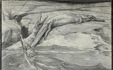 Woodward Original Early Drawing of a Metriorhynchus