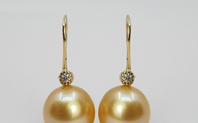 11mm Golden South Sea Pearls - 14 kt. Yellow gold - Earrings - 0.04 ct