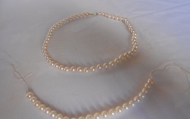 14 kt. Akoya pearl, Yellow gold - Necklace