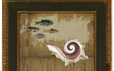 Richard Blow, Untitled (Fish with shell)
